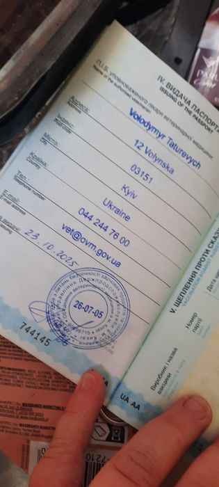 Канадский сфинкс для вязки