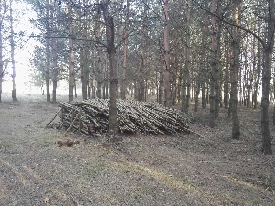 drewno opałowe opał kominkowe do palenia