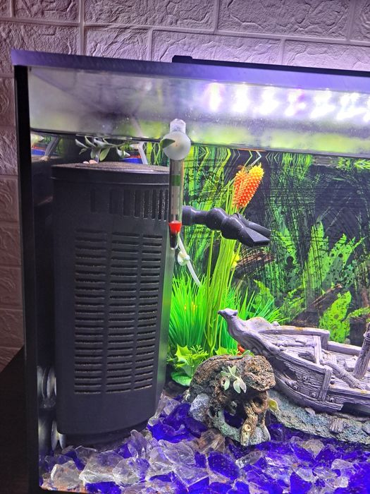 Aquario de peixe de agua quente 100L