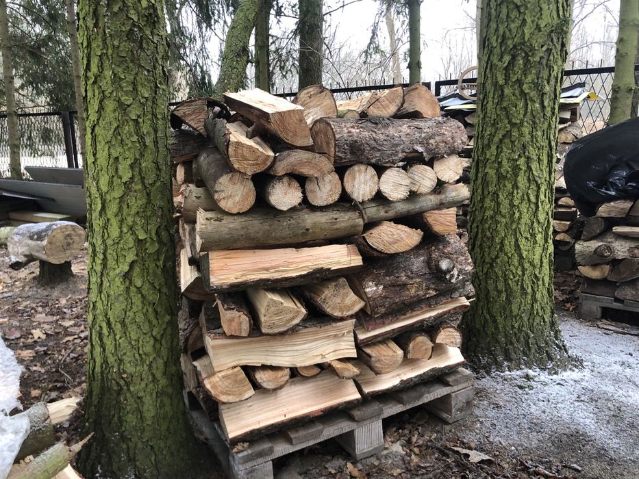 Brzoza, dąb, drzewo lisciaste  250/350 na opal do pieca i do wedzenia, gruszka, modrzew