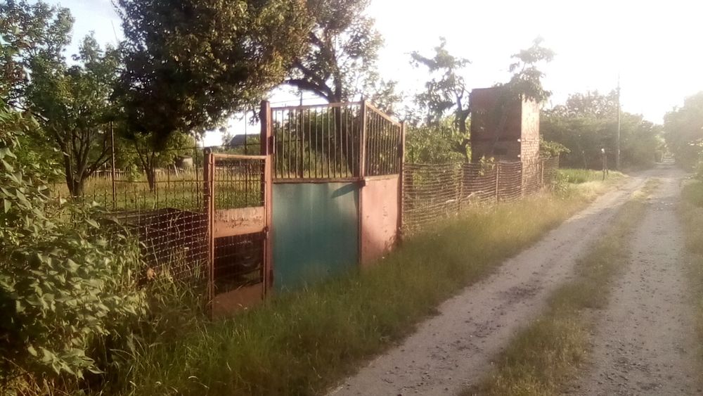 Фото ділянки