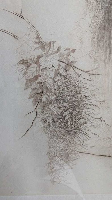 Leszek Rózga - akwaforta Uroczysko