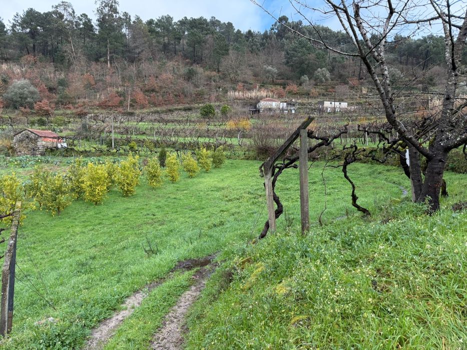 Quinta  6500 m2.