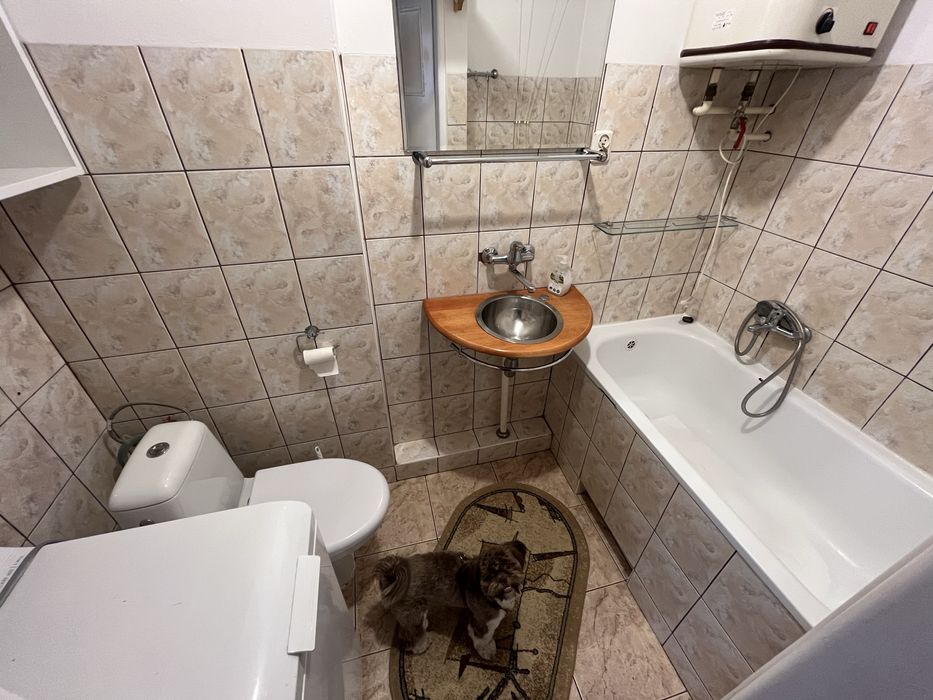Mieszkanie do wynajęcia