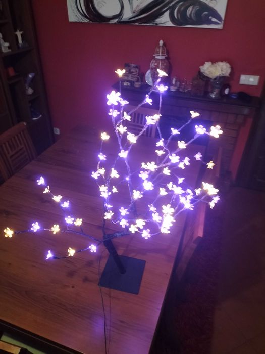 Árvore de natal iluminada.