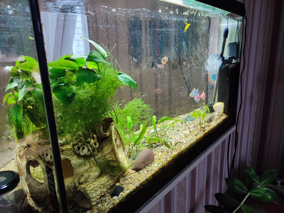 Акваріум з усім наповненням 80л