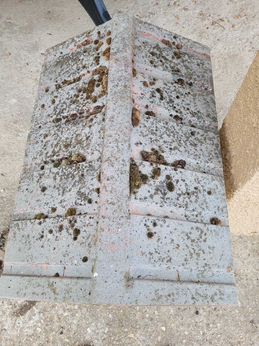 Casota para cao tamanho pequeno