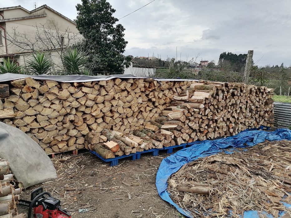 Lenha de eucalipto e carvalho