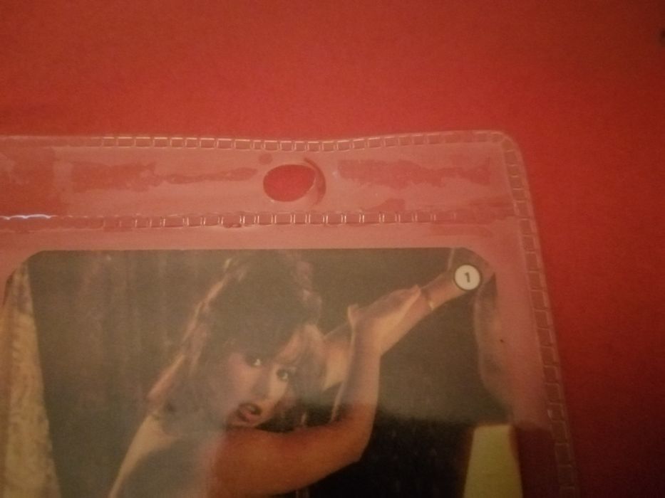 Calendários Eróticos (1984)