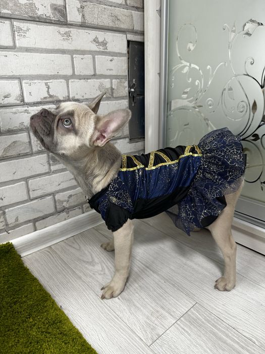 Сукня саяткова для собачки