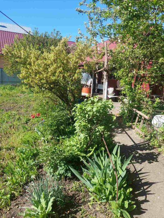 Продаж будинку в Хмельницькому