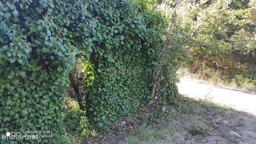 Terreno em Maceira para construção
