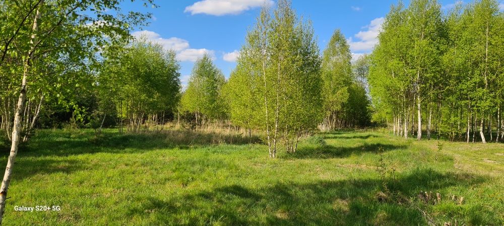 Mazovia Village - domki blisko Suntago