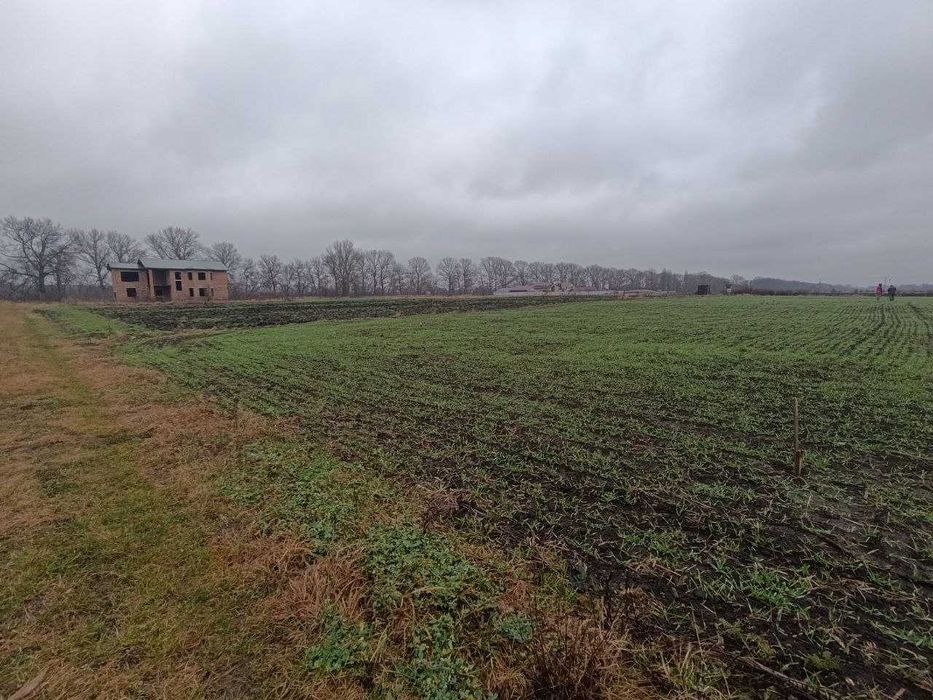 продаж земельної ділянки Чорний Острів