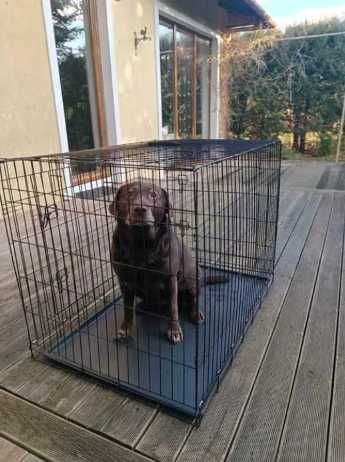 KLATKA DLA PSA metalowa DUŻA kennelowa transporter 107CM kojec solidny