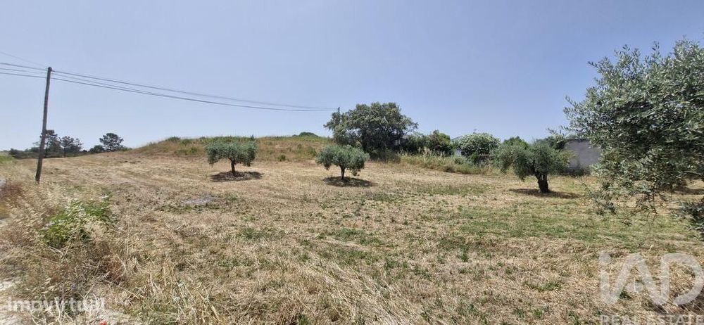 Terreno em Azambujeira e Malaqueijo de 3650,00 m2