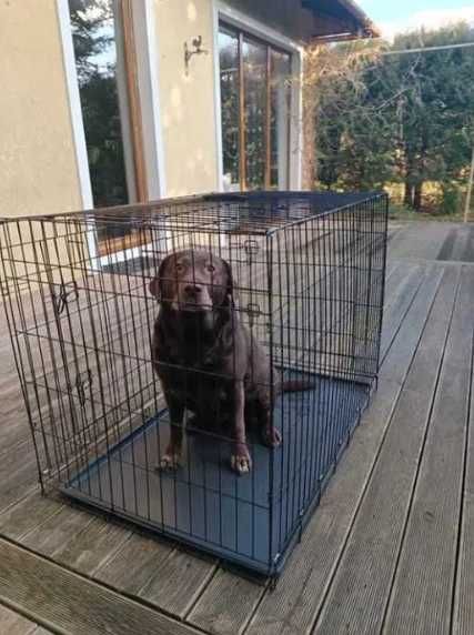 KLATKA METALOWA DLA PSA kennelowa składana zamykana XL 93CM kojec NOWY