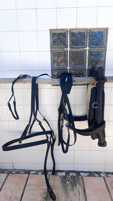 Arreio para cavalo