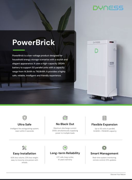 Акумуляторна батарея з підігрівом Dyness PowerBrick Deye