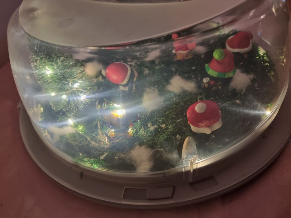 Figuras Disney em paisagem Natalicia c/ iluminaçao (natal presente)