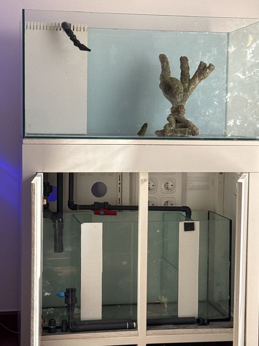 Aquario 80x45x45 com sump e acessorios