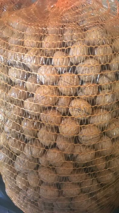 Orzechy Włoskie  Ekologiczne OKAZJA 2025