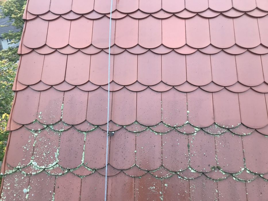 mycie okien, sprzątanie - DUŻE POWIERZCHNIE!!!