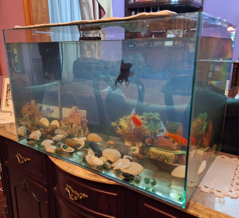 Aquário 80 Litros – Excelente Estado (60x35x38cm)