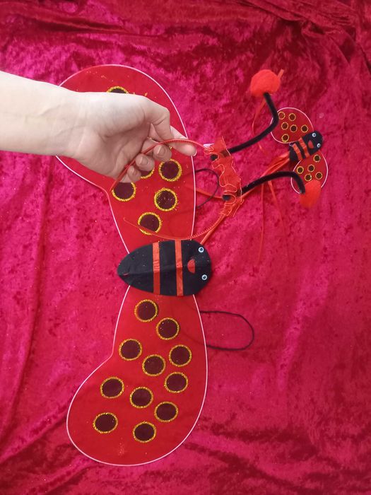 Костюм сонечка божої коровки бедрика бджілки бджола на свято весни