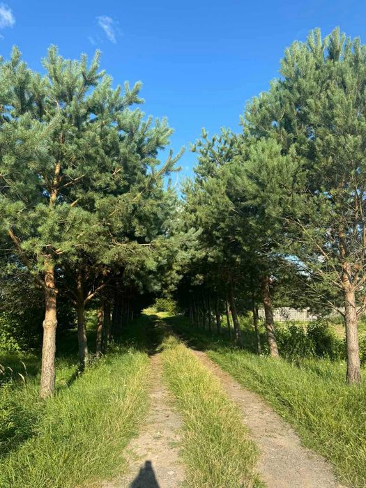 Житловий будинок та земельна ділянка 10 сот., м. Жовква