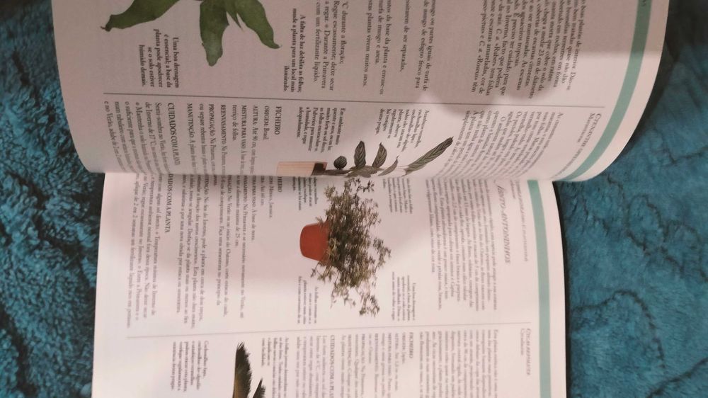 Grande livro guia das plantas