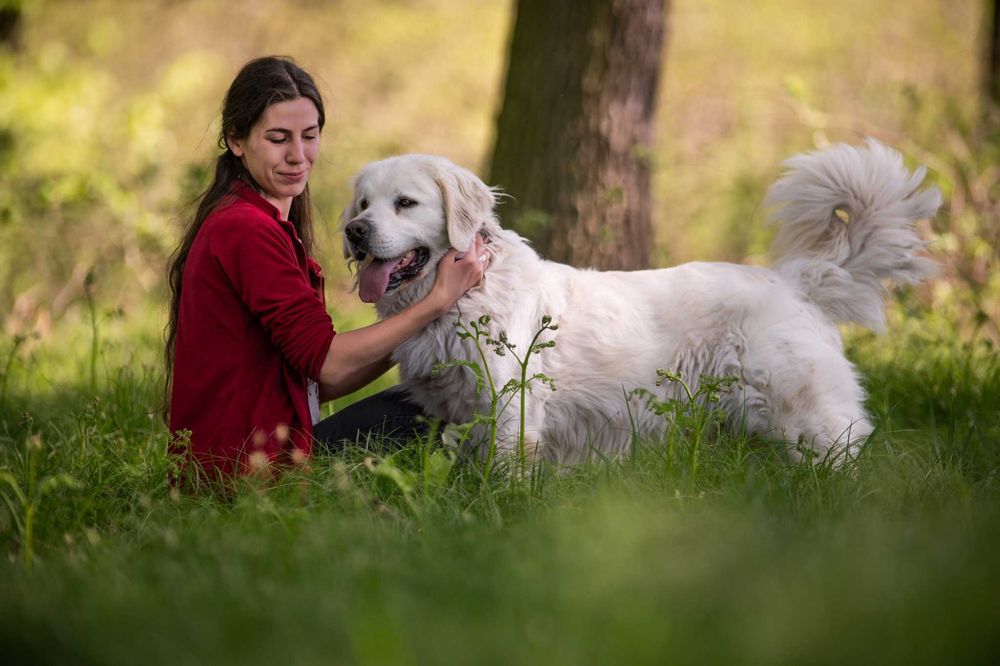 Nazir- wyjątkowy pies, dla wyjątkowego człowieka - do adopcji.