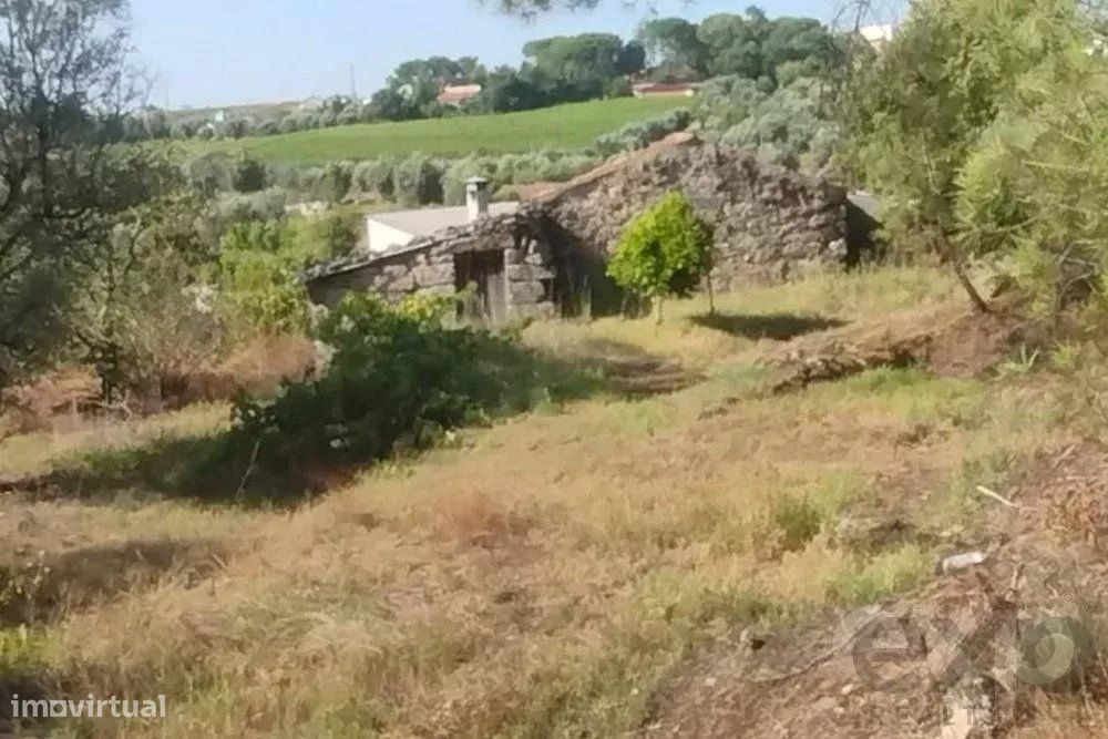 Quintinha com Terreno Urbano em Nelas
