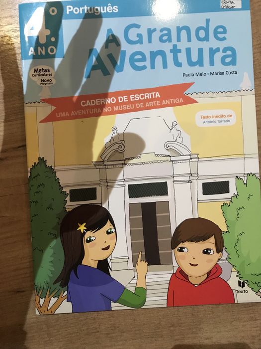 Livros para ferias e fichas de consolidação