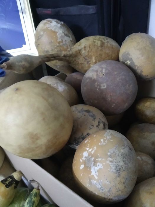 Instrumentos de Capoeira