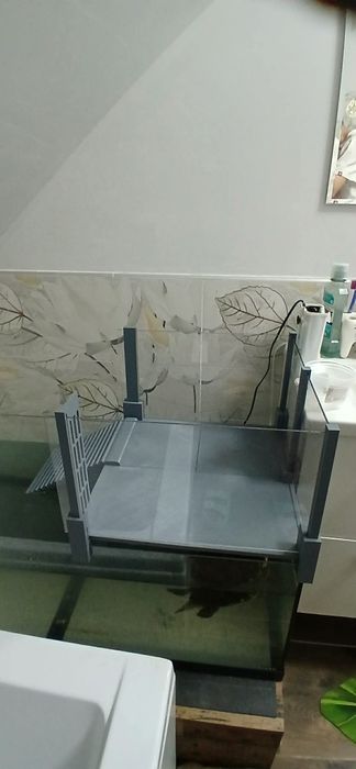 Wyspa dla żółwia
