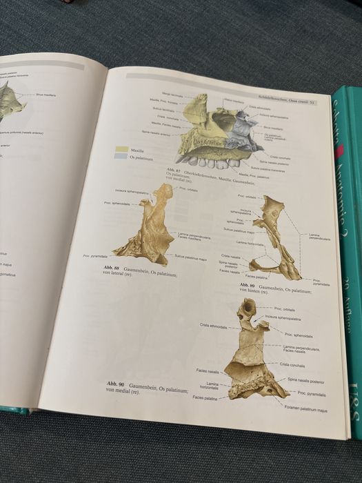 Sobotta Atlas der Anatomie des Menschen