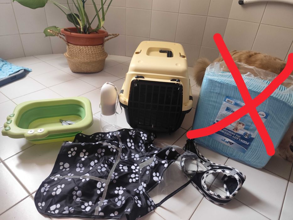 Transportadora mais acessórios de cão