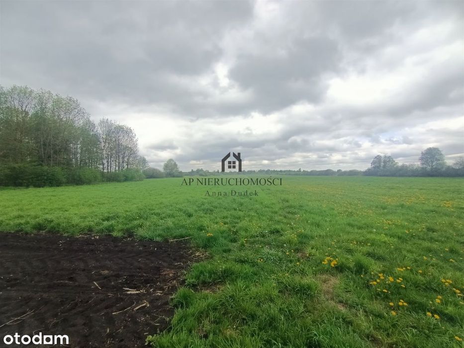 Gospodarstwo rolne, 5,7ha Jabłków gm. Kramsk - Widok 4