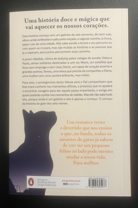 O Gato dos Sete Nomes