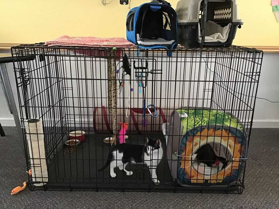 Клітка для собак Польша, клетка переноска вольер для собак ВСІ РОЗМІРИ