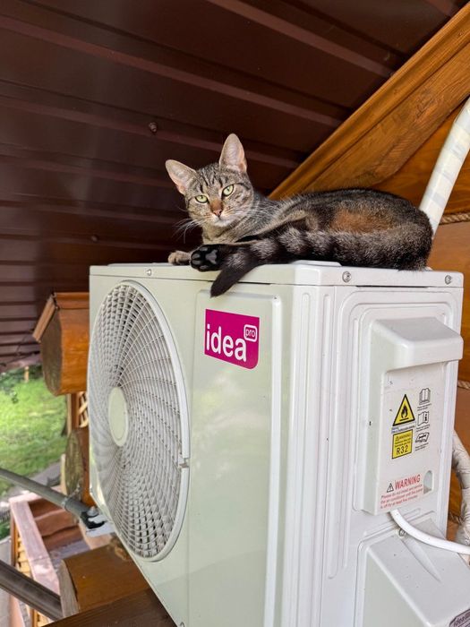 Міні готель "Затишок" подобова оренда