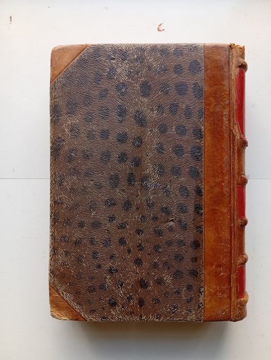 Livro antigo – Os Maias, Eça de Queiroz