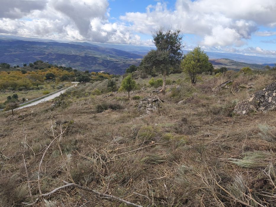 Terreno rustico SAMBADE