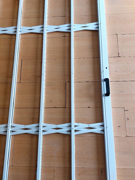 2 Window Lizards. Dimensions: 2.50×1.6064552024614787124