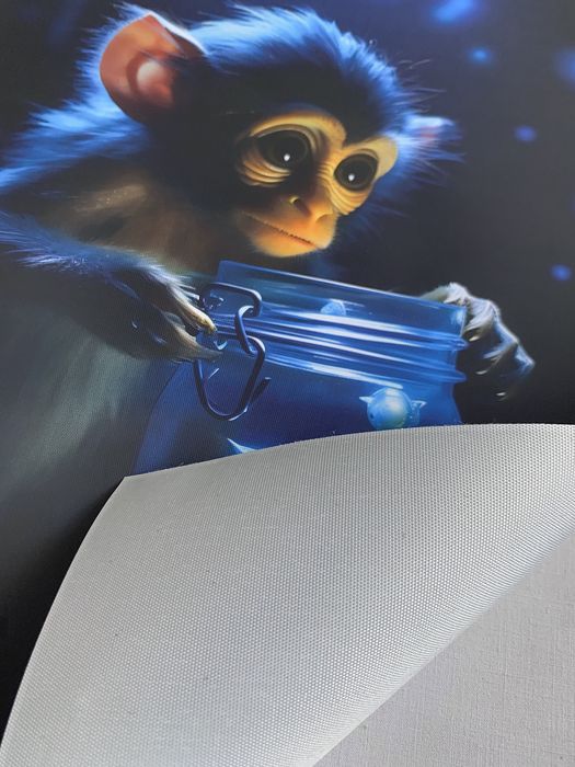 Gobelin na płótnie/Obrazek/Cute Magic Animal/Małpka/Monkey