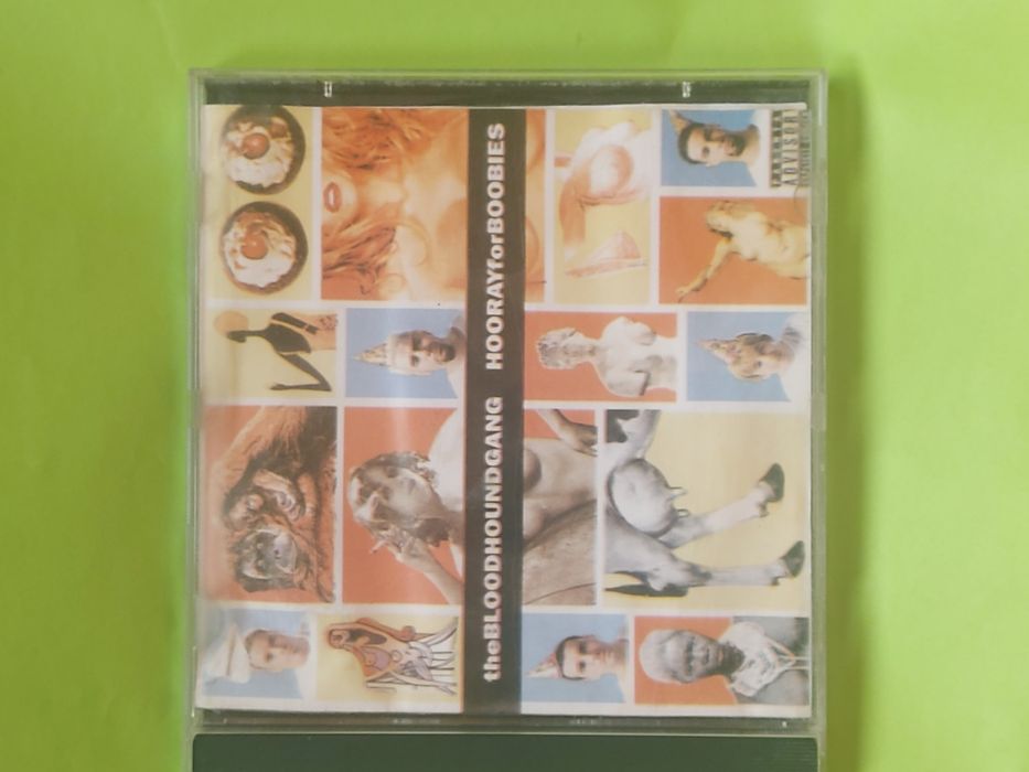 Płyta CD the Blood houndgang hooray 1999rok
