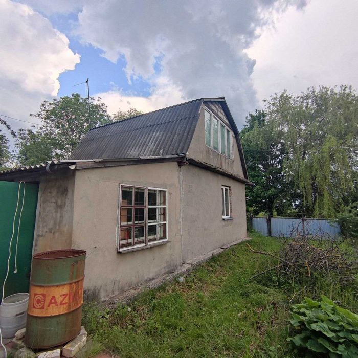 Дачний будинок із копанкою біля озера