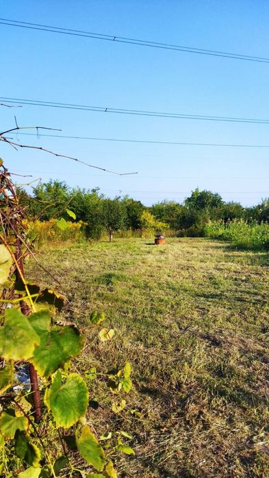 Дача на Басах в садівництві Олдиш-86: 4 500 $ - Продажа домов Сумы на Olx