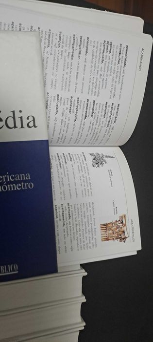 Enciclopédia da Editorial Verbo, 20 volumes -  Nova